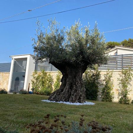 Villa Palladino Rooms Giovinazzo Luaran gambar