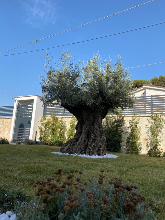 Villa Palladino Rooms Giovinazzo Luaran gambar